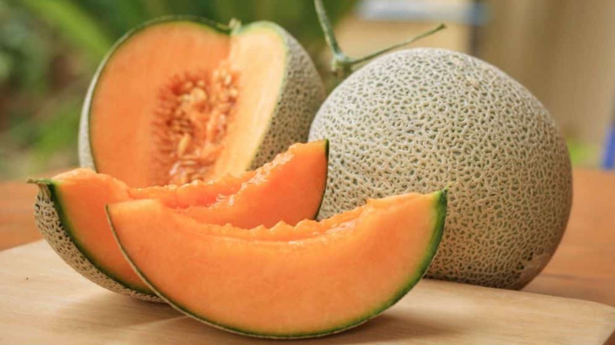 Muskmelon Benefits: புற்றுநோய் தடுப்பு முதல் இதய ஆரோக்கியம் வரை.. முலாம்பழம் நன்மைகள் இங்கே..