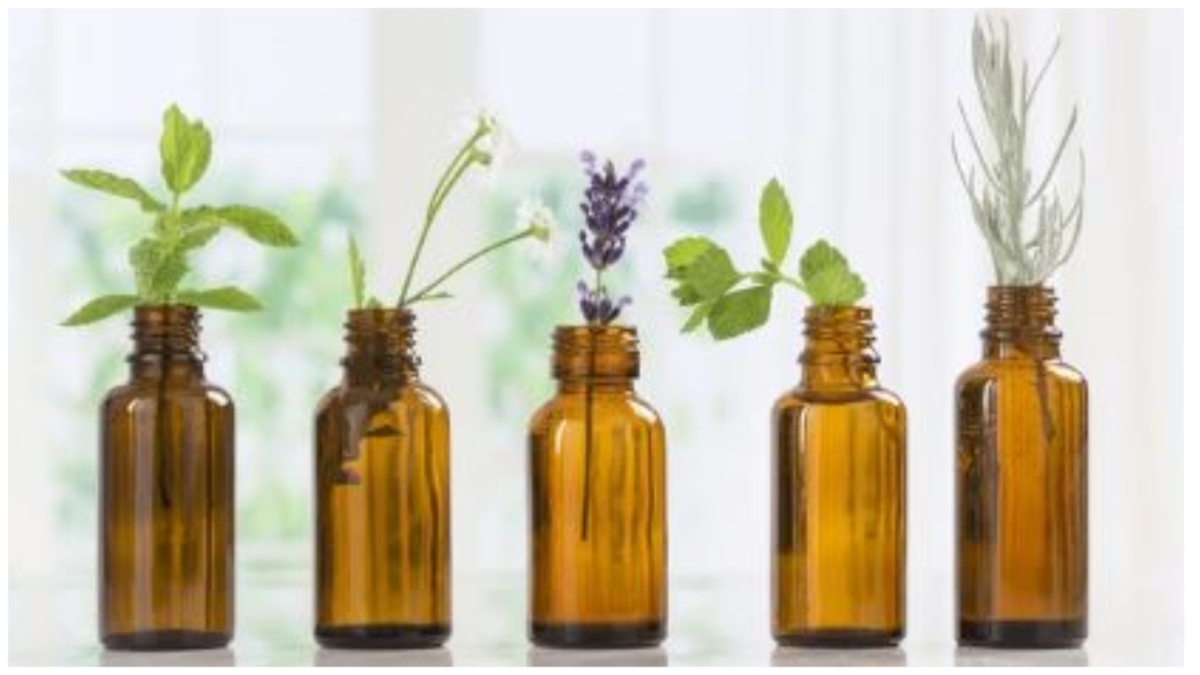 Essential Oil Benefits: தலைவலியைப் போக்கும் டாப் 5 எசன்ஷியல் ஆயில்கள்… மசாஜ் செய்வது எப்படி?
