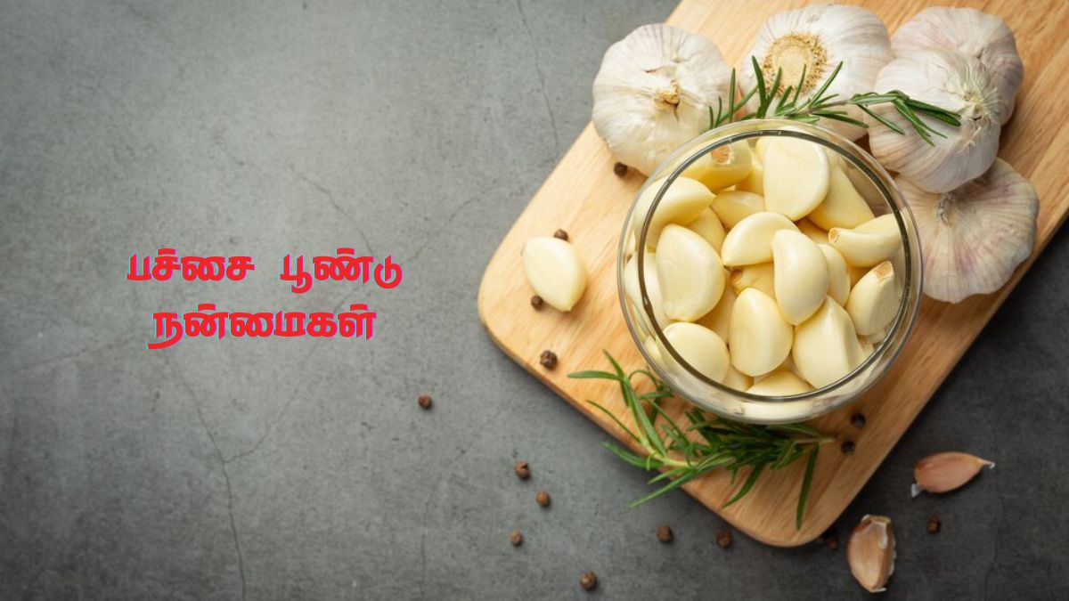 Raw Garlic Benefits: பச்சை பூண்டு சாப்பிட்டா இந்த பிரச்சனை எல்லாம் வராதாம். எவ்வளவு சாப்பிடணும் தெரியுமா?