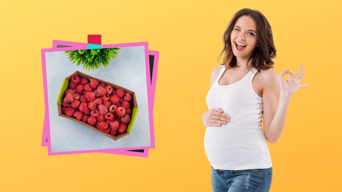 Raspberry During Pregnancy: கர்ப்ப காலத்தில் இந்த பிரச்சனை எல்லாம் வராமல் தடுக்க ராஸ்பெர்ரி பழத்தை சாப்பிடுங்க
