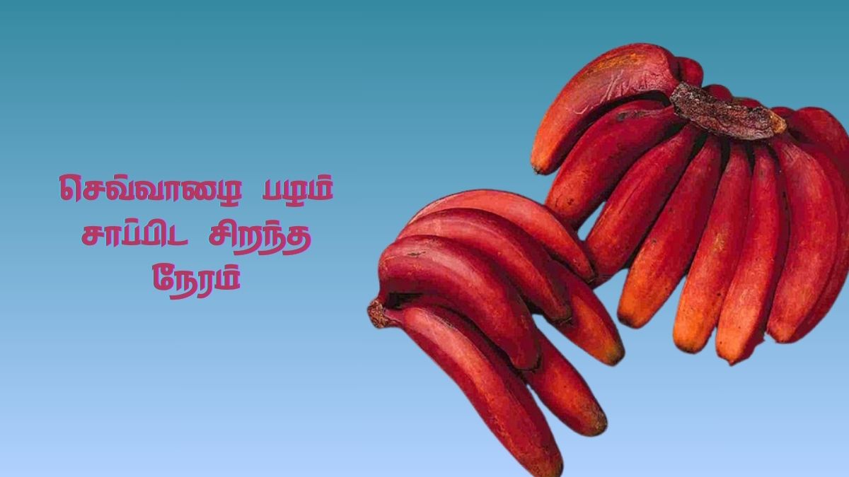 Red Banana Eating Time: செவ்வாழைப் பழம் சாப்பிட சரியான நேரம் எது தெரியுமா?