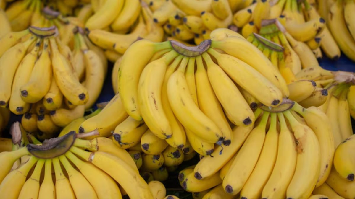 Banana Benefits: தினசரி வாழைப்பழம் சாப்பிடுவதால் இவ்வளவு நன்மைகளா?