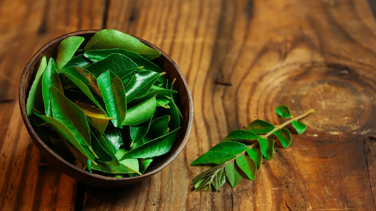 Curry Leaves Benefits: இந்த நாள்பட்ட நோய்களை எல்லாம் தவிர்க்க தினமும் 5 கறிவேப்பிலை சாப்பிடுங்க