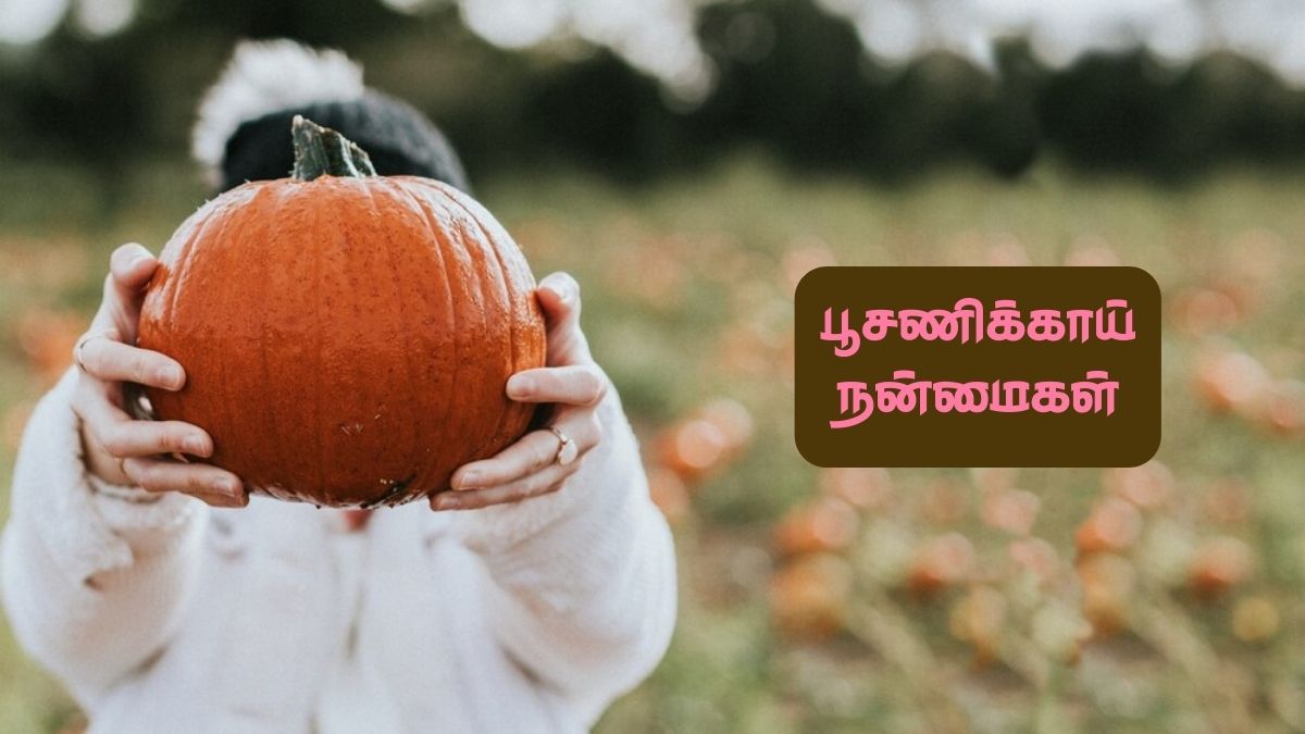 Pumpkin During Summer: எடை குறைப்பு முதல் இதய நோய் வரை. கோடையில் பூசணி தரும் அற்புத நன்மைகள்