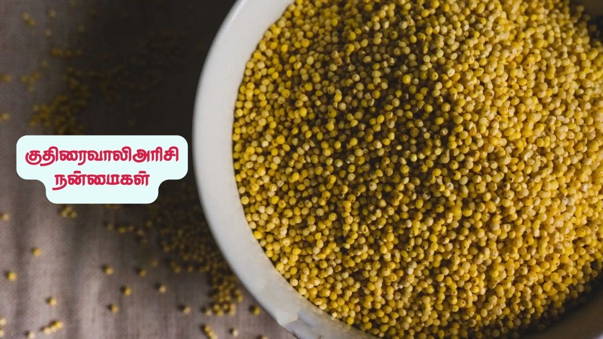 Kuthiraivali Rice Benefits: சர்க்கரை நோய் முதல் இரத்த சோகை வரை. இந்த அரிசி ஒன்னு போதும்
