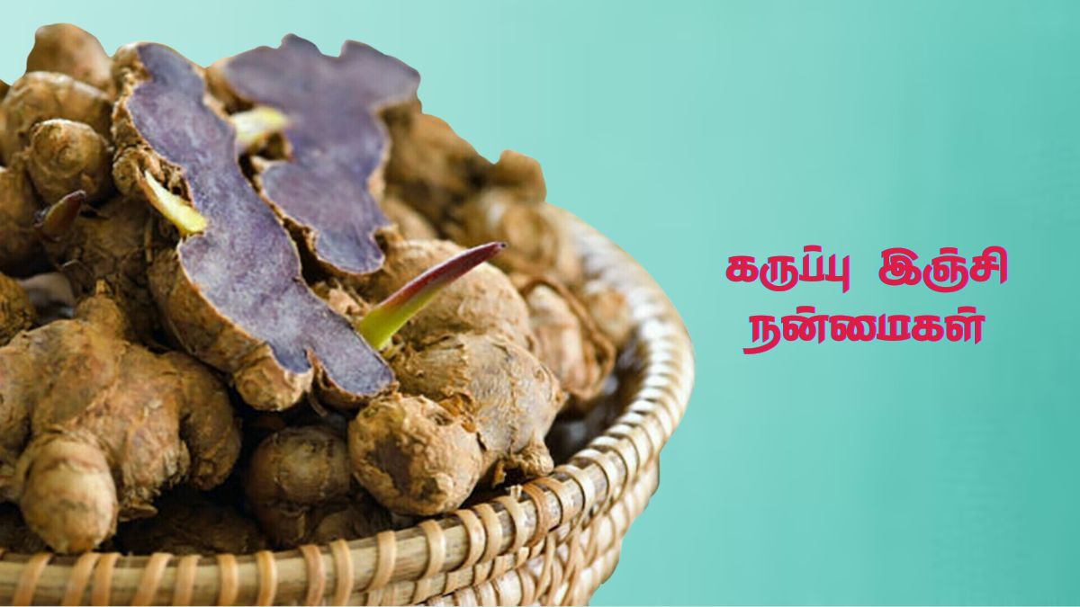 Black Ginger Benefits: கருப்பு இஞ்சியின் நம்ப முடியாத ஆரோக்கிய நன்மைகள்!