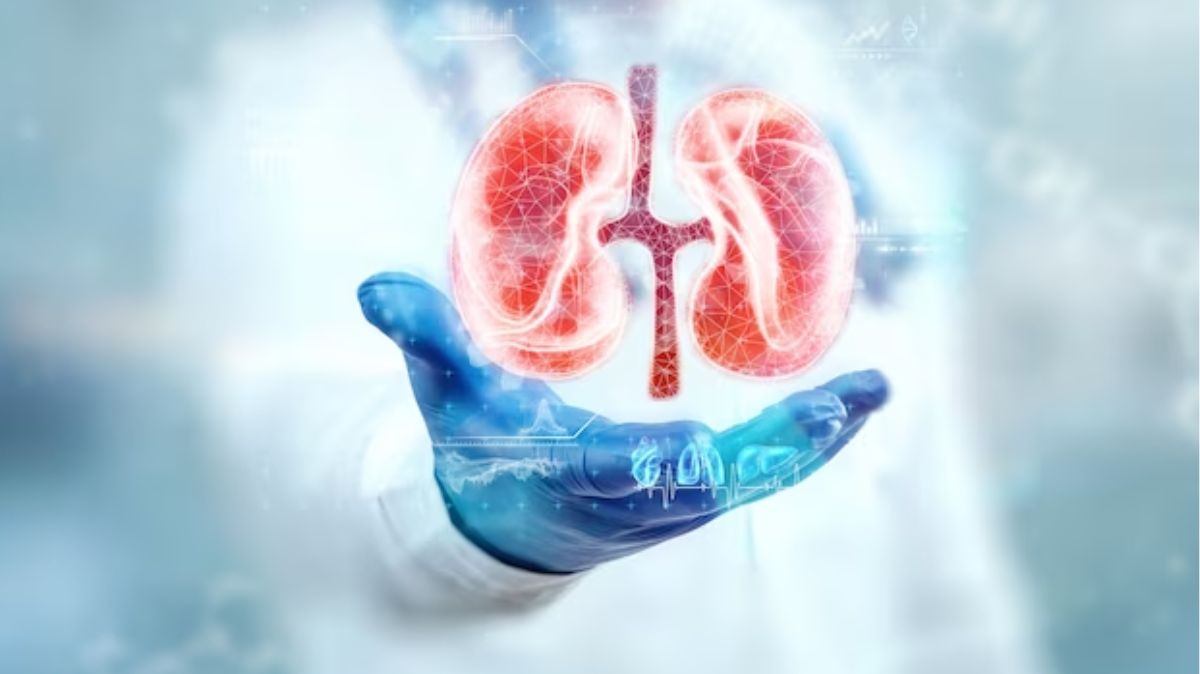 Kidney Disease: வாழைப்பழங்கள் மற்றும் உருளைக்கிழங்கு சிறுநீரகத்திற்கு தீங்கு விளைவிக்குமா? டாக்டர் கூறுவது என்ன?