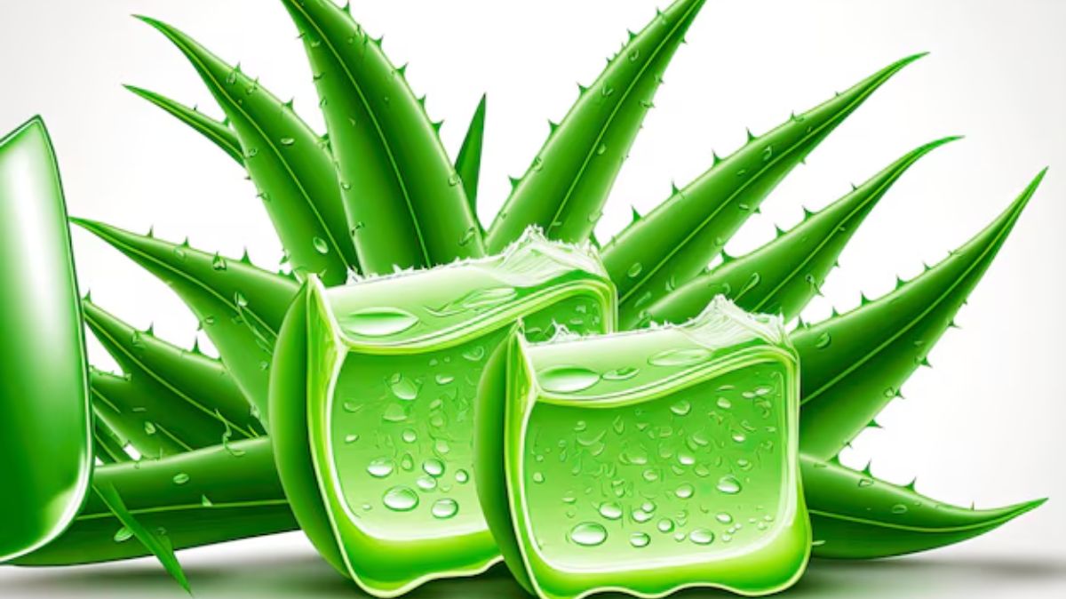 Aloe Vera Gel: இரவு நேரத்தில் முகத்தில் கற்றாழையை இப்படி யூஸ் பண்ணுங்க.!