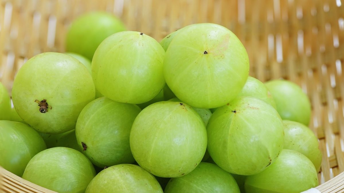 Amla Benefits: உச்சந்தலை, சருமம் முதல் மொத்த ஆரோக்கியத்திற்கும் இது வரப்பிரசாதம்!