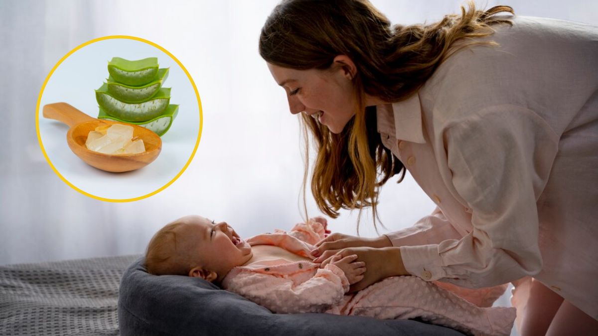 Aloe Vera For Children: குழந்தைகளுக்குக் கற்றாழை கொடுப்பதில் சிக்கல் இருக்கு! இது தெரியாம குடுக்காதீங்க