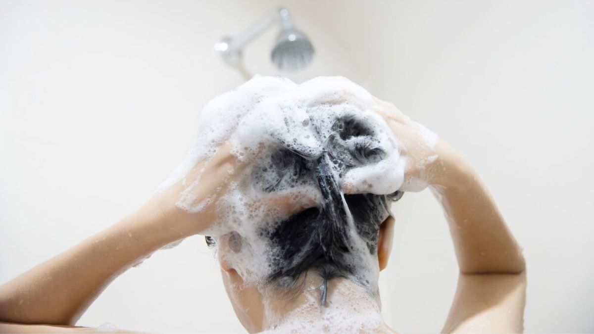 Hair Washing Side Effects: தினமும் தலைக்குக் குளிப்பவர்களா நீங்க? அப்ப கண்டிப்பா இத பாருங்க