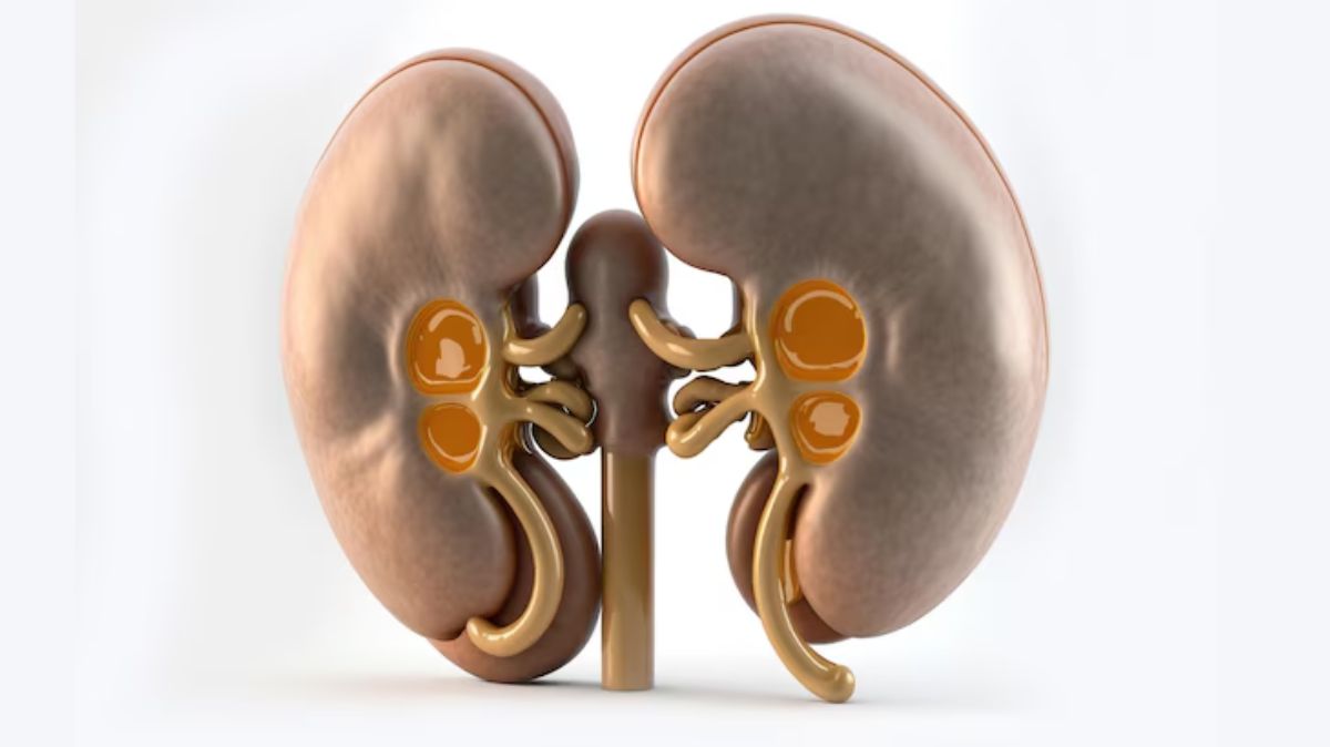 Kidney Failure: சிறுநீரக செயலிழப்பை உணர்த்தும் அறிகுறிகள் இது தான்.!