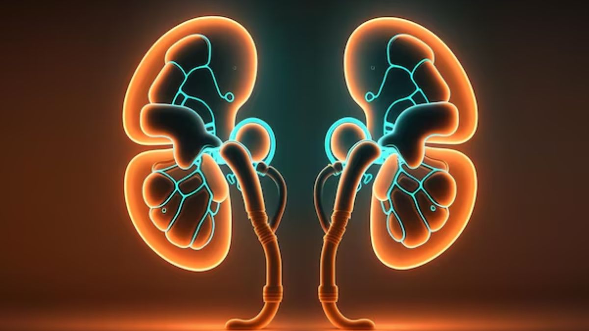 Kidney Stone Foods: சிறுநீரக கற்கள் இருப்பவர்கள் இந்த உணவுகளை சாப்பிடக்கூடாது!