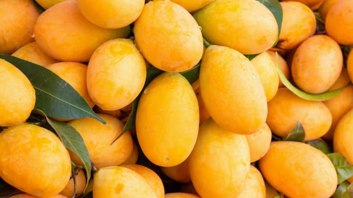 Mango Causes: மாம்பழம் சாப்பிட்டால் முகப்பரு வருமா?