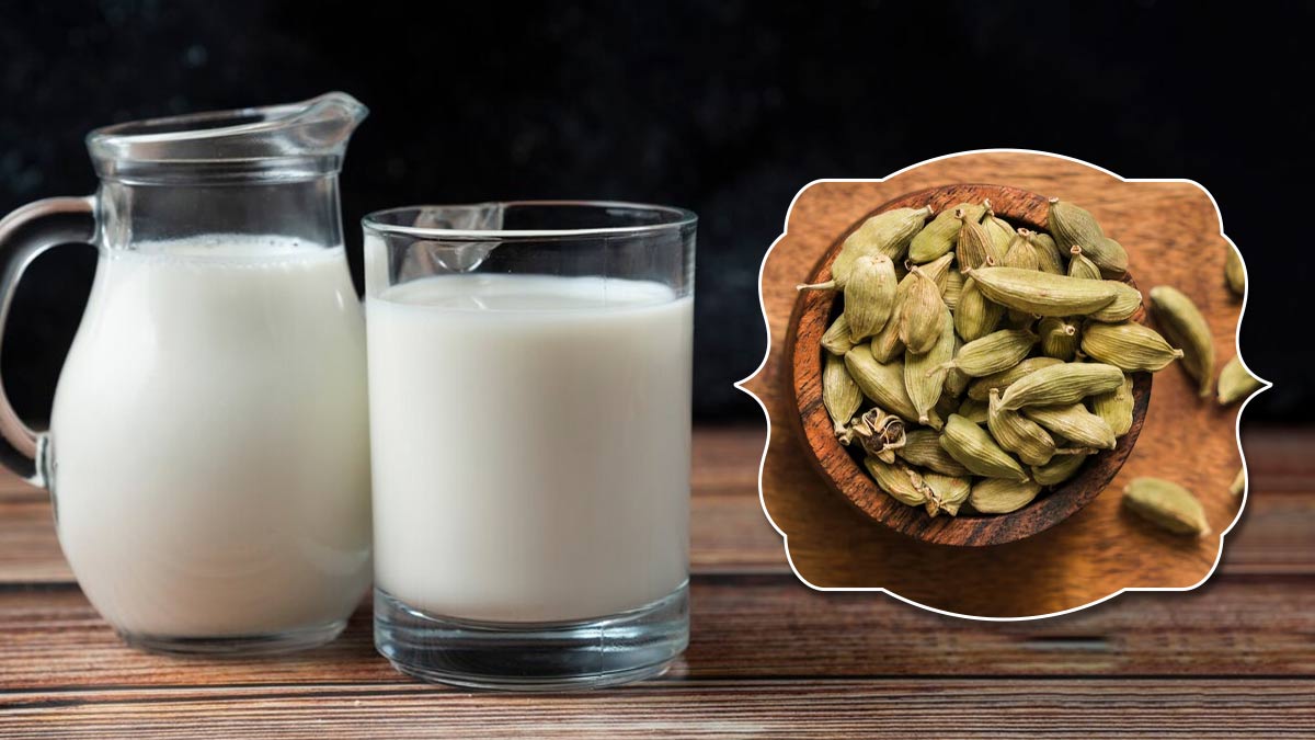Elaichi Milk Benefits: பச்சை ஏலக்காயை பாலில் கொதிக்க வைத்து குடிப்பது எவ்வளவு நல்லது தெரியுமா?