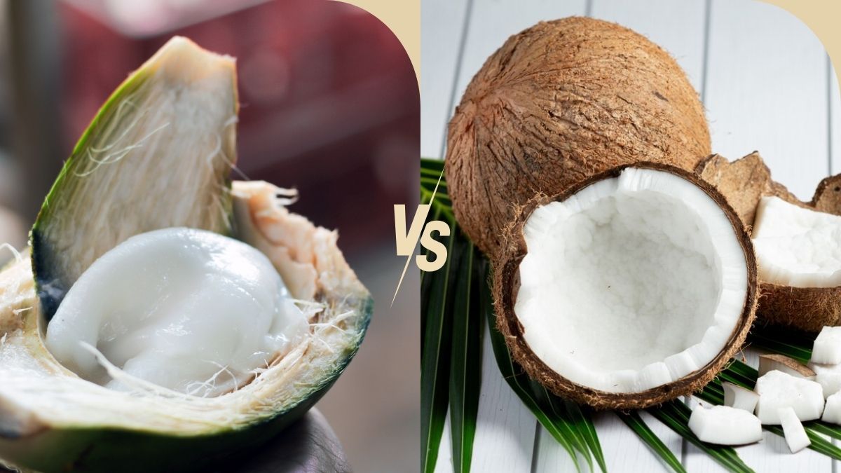 Coconut Vs Tender Coconut: இளநீர் vs தேங்காய் நீர், எது உடம்புக்கு நல்லது தெரியுமா?