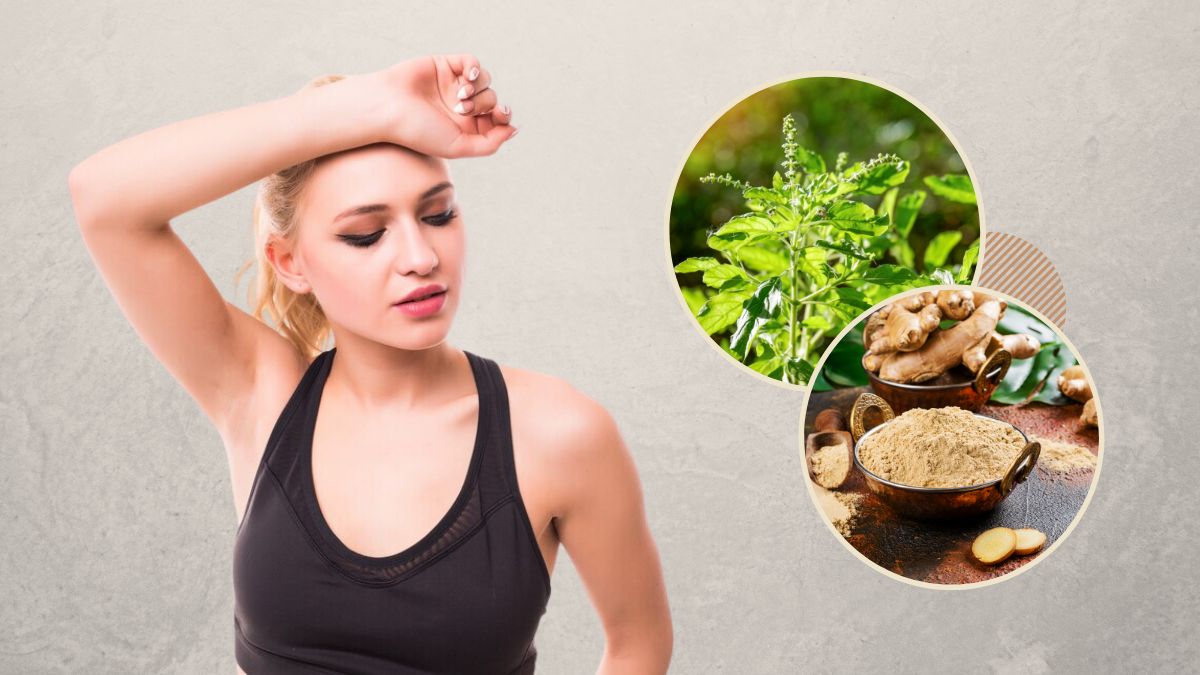 Herbs For Body Heat: உடம்பு ரொம்ப ஹீட்டா இருக்கா? கூலா வெச்சிக்க இந்த ஆயுர்வேத மூலிகைகள் எடுத்துக்கோங்க