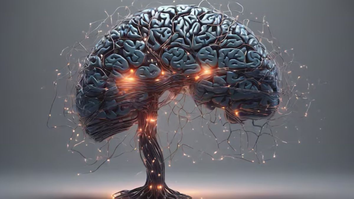 Brain Health: இந்த உணவுகள் வேண்டாம்.! மூளையை மங்க செய்யும்…