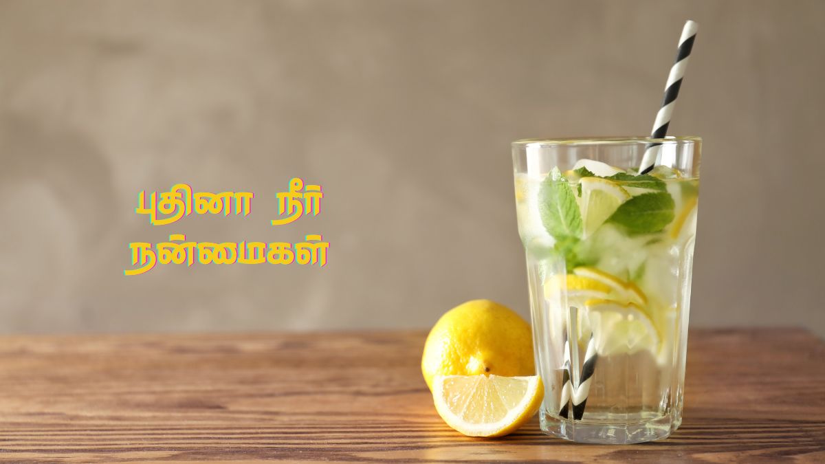 Pudina Water Benefits: புதினா வாட்டரில் இத்தனை நன்மைகள் இருக்கா? ஆனா இவங்க கட்டாயம் குடிக்கக் கூடாது