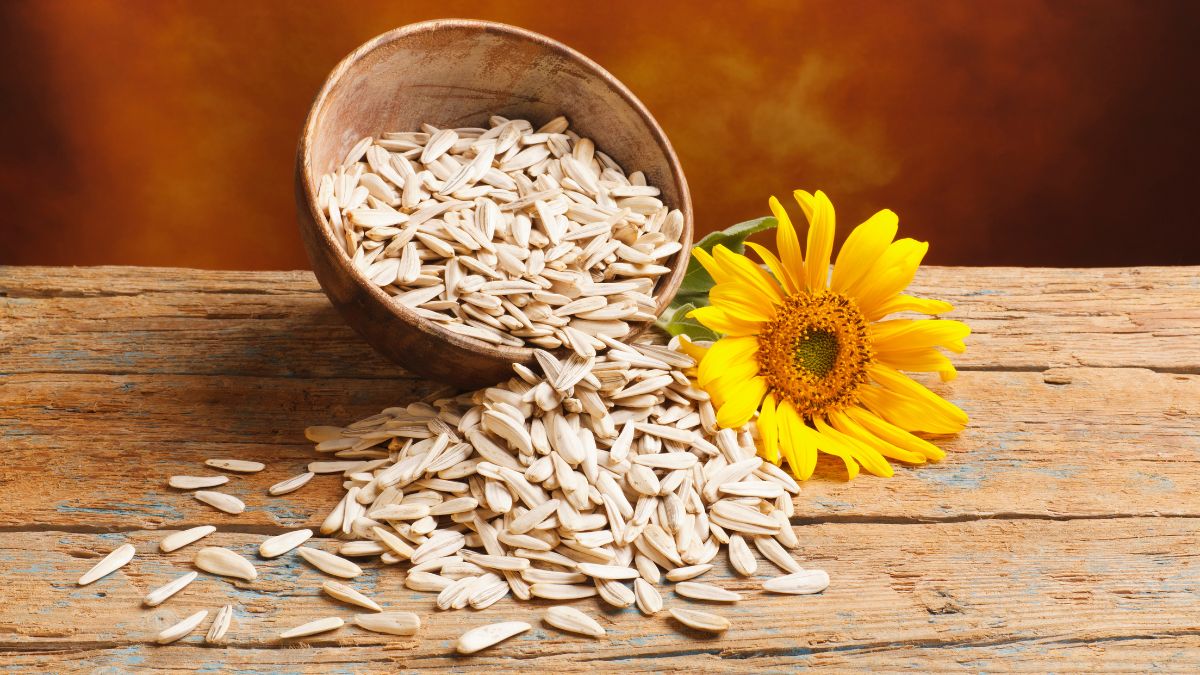 Sunflower Seeds Benefits: நீரிழிவு நோய் முதல் எலும்பு ஆரோக்கியம் வரை. சூரியகாந்தி விதை தரும் ஆரோக்கிய நன்மைகள்