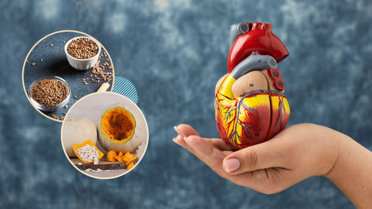 Heart Health Seeds: இதய அடைப்பைத் தடுக்க நீங்க சாப்பிட வேண்டிய ஆரோக்கியமான விதைகள்!
