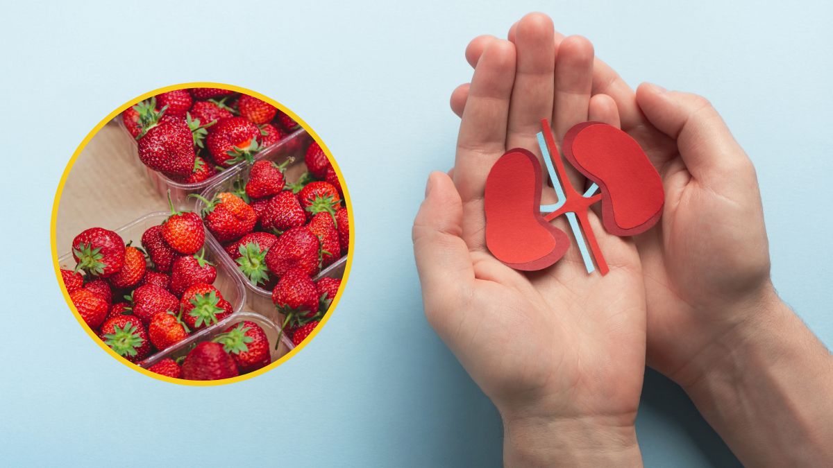 Strawberry For Kidney Patients: சிறுநீரக நோயாளிகள் ஸ்ட்ராபெர்ரி சாப்பிடலாமா? என்னனு தெரிஞ்சிக்கோங்க