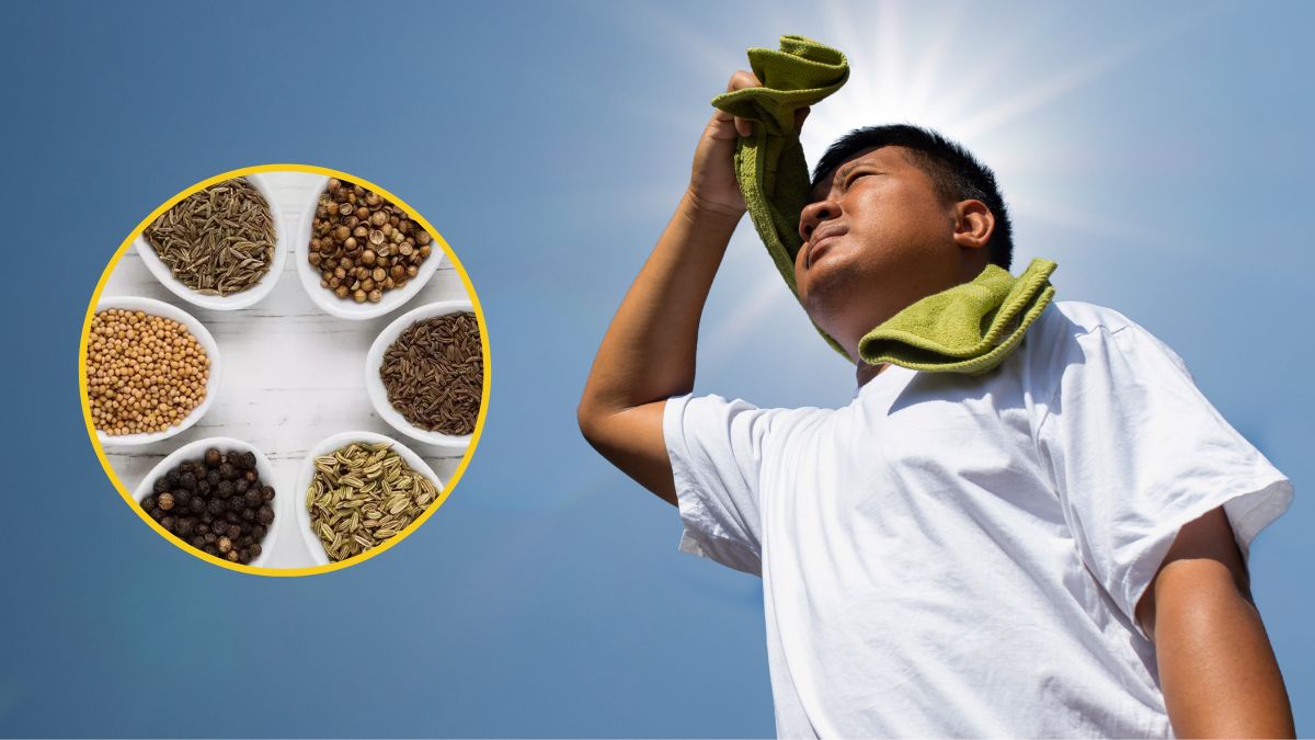 Seeds During Summer: வெயில்ல உடம்பு சூட்டைத் தணிக்க சாப்பிட வேண்டிய விதைகள்