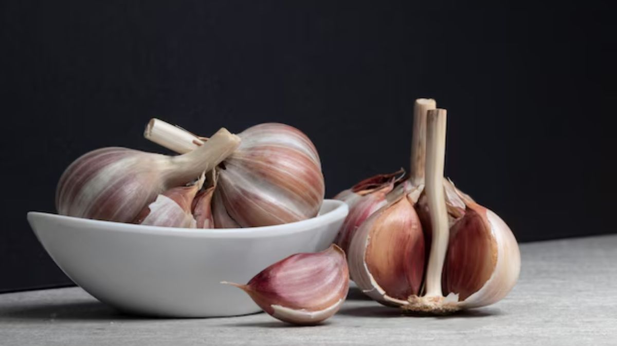 Health Benefits of Garlic: தினமும் காலையில் வெறும் வயிற்றில் பூண்டு சாப்பிடுவதால் கிடைக்கும் ஆரோக்கிய நன்மைகள்!