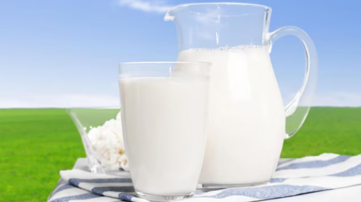 Time To Drink Milk: எந்த நேரத்தில் பால் குடிப்பது உடலுக்கு நல்லது? ஆயுர்வேதம் சொல்லும் இரகசியம்
