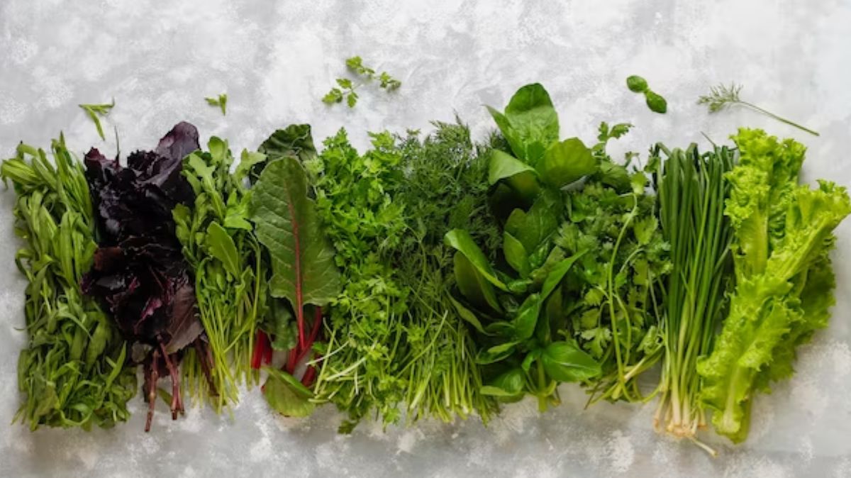Spinach Benefits: இலை காய்கறிகளின் சூப்பர் ஸ்டார்.! கீரையில் நன்மைகள் இங்கே…