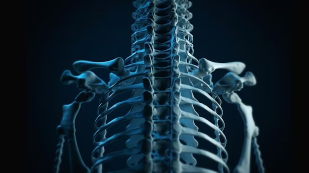 Bone Health Foods: இந்த உணவுகள் எலும்புகளை வழுவிழக்கச் செய்யும்.!