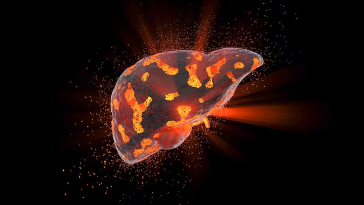 Liver Healthy Foods: கல்லீரல் ஆரோக்கியமாக இருக்க இந்த உணவுகளை எடுத்துக்கொள்ளவும்…