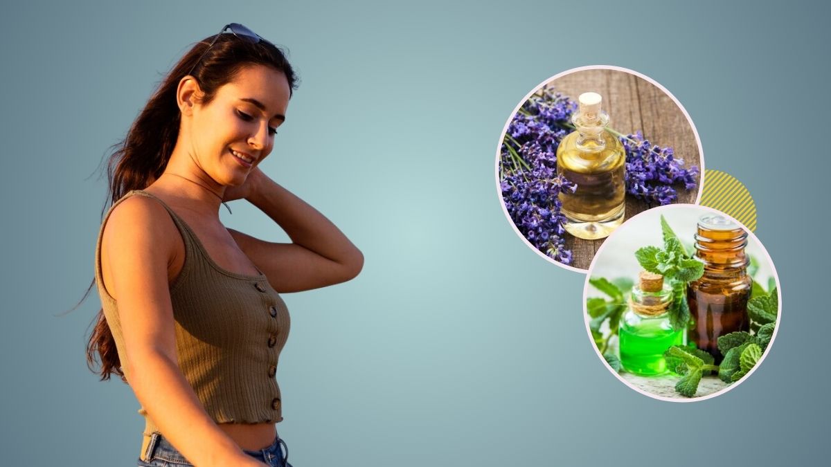 Body Heat Reduce Oil: கொளுத்தும் வெயிலில் உடம்பு சூட்டைத் தணிக்க இந்த 6 எண்ணெய் போதும்