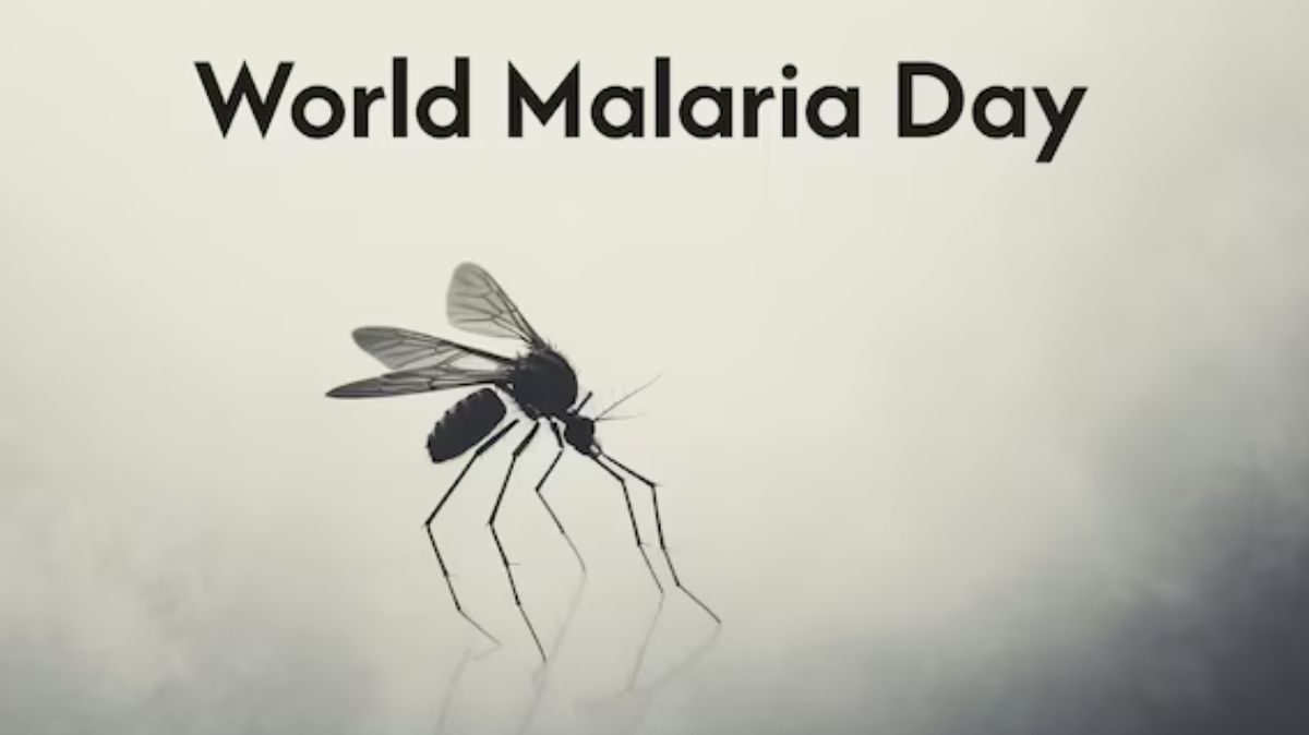 World Malaria Day: மலேரியாவிற்கும் டெங்குவிற்கும் உள்ள வித்தியாசத்தை அறிந்து கொள்ளுங்கள்