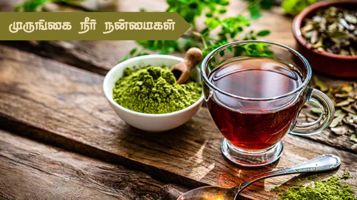 Moringa Water Benefits: வெறும் வயிற்றில் முருங்கை நீர் அருந்துவதில் என்னென்ன நன்மைகள் தெரியுமா?