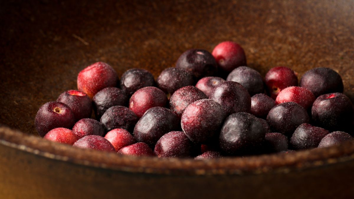 Falsa Fruit Benefits: இந்திய செர்பெட் பெர்ரி பழமா? இதோட நன்மைகளைக் கேட்டா சுவைக்காம விட மாட்டீங்க