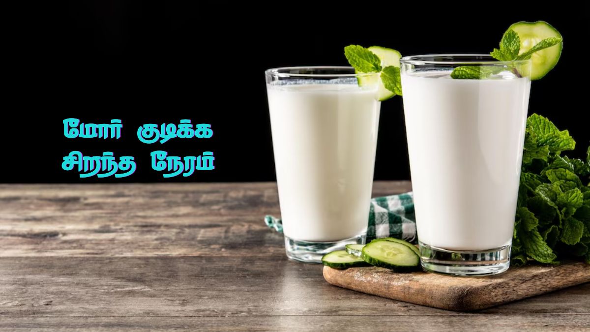 மோர் குடிக்க போறீங்களா? எந்த டைம்ல குடிக்கணும்னு தெரிஞ்சிக்கோங்க