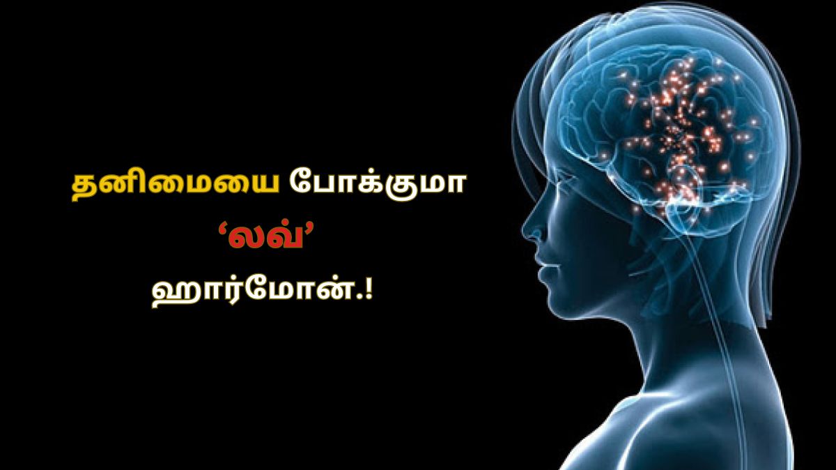 Love Hormone: தனிமையை போக்கும் ‘லவ்’ ஹார்மோன்.!