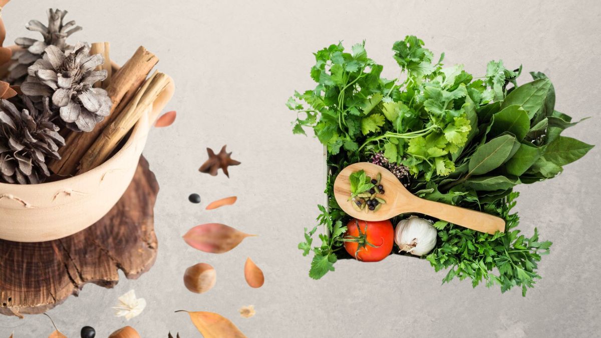 Dried Herbs Vs Fresh Herbs: உலர்ந்த மூலிகை Vs புதிய மூலிகை - எது உடலுக்கு நல்லது தெரியுமா?