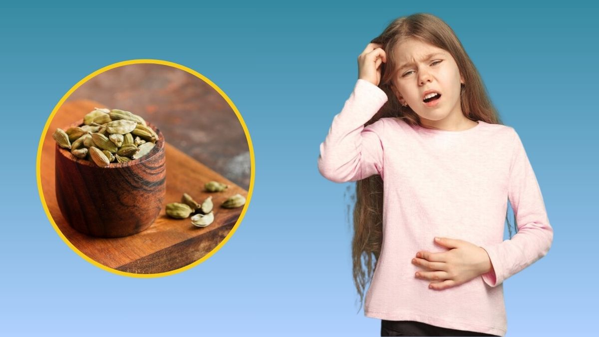 Cardomom Benefits: குழந்தைகளுக்கு உணவூட்டிய பிறகு ஏலக்காய் கொடுப்பதில் இத்தனை நன்மைகள் இருக்கா?