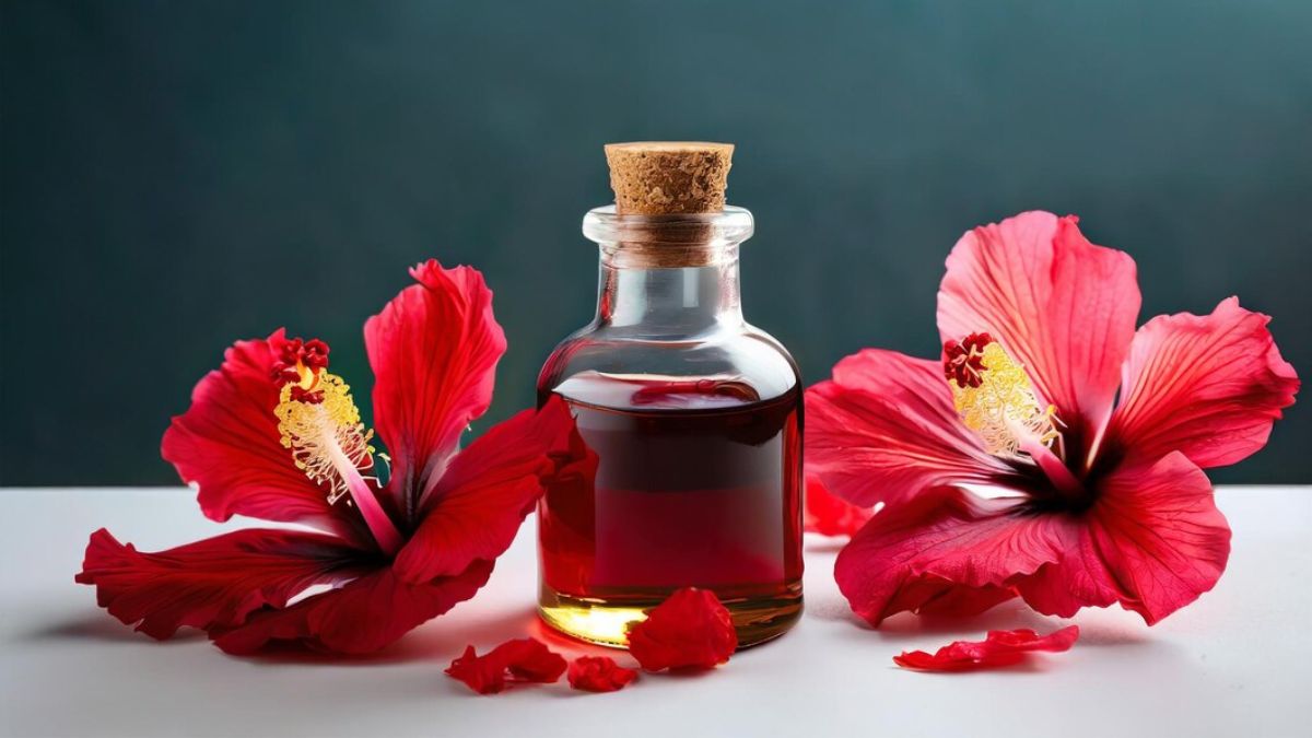 Hibiscus Oil For Hair: முடி ரொம்ப வேகமா வளர வீட்டிலேயே செம்பருத்தி எண்ணெயை தயார் செய்வது எப்படி?