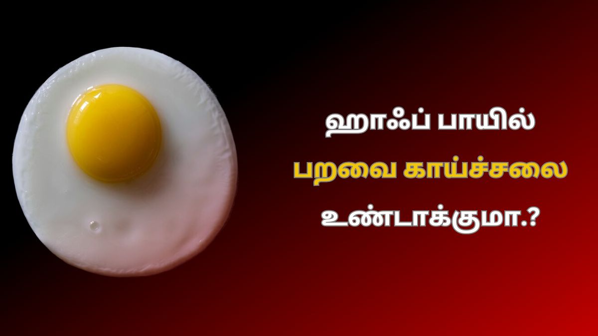Half Boil Egg: இது ஹாஃப் பாயில் இல்ல… ஆப்பு பாயில்… பறவை காய்ச்சல் வருமாமே..!