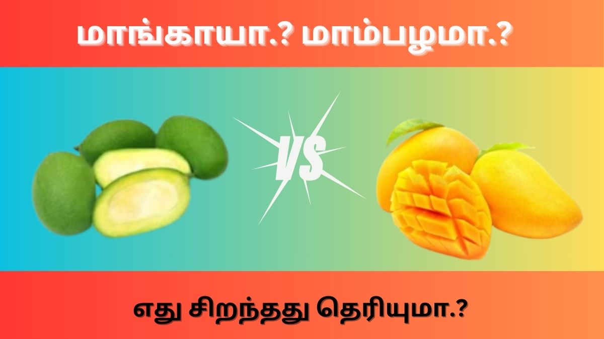 மாங்காய் vs மாம்பழம்: எது சிறந்தது தெரியுமா.?