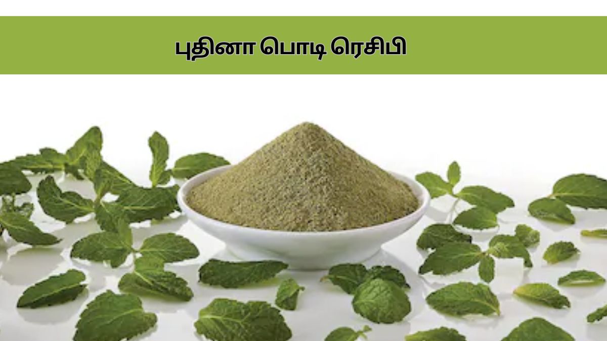 Pudina Podi: எச்சில் ஊறும் அளவுக்கு புதினா பொடி செய்யனுமா.? இதை ட்ரை பண்ணுங்க…