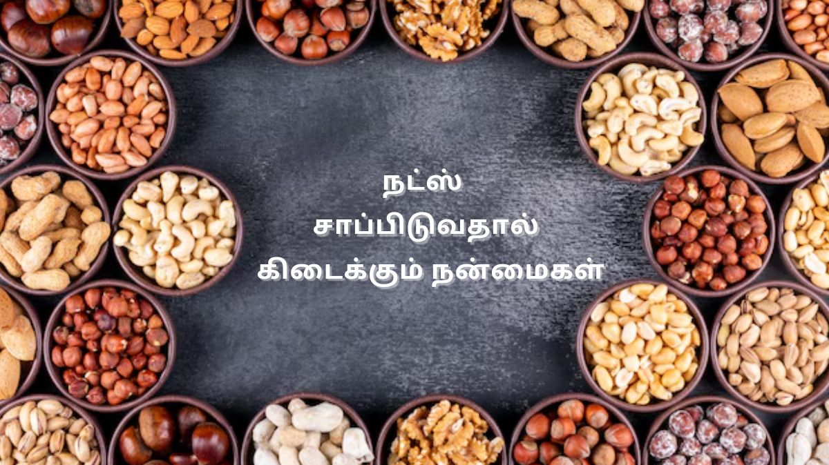 Nuts Benefits: தினமும் நட்ஸ் சாப்பிடுவதால் கிடைக்கக்கூடிய நன்மைகள்!!!