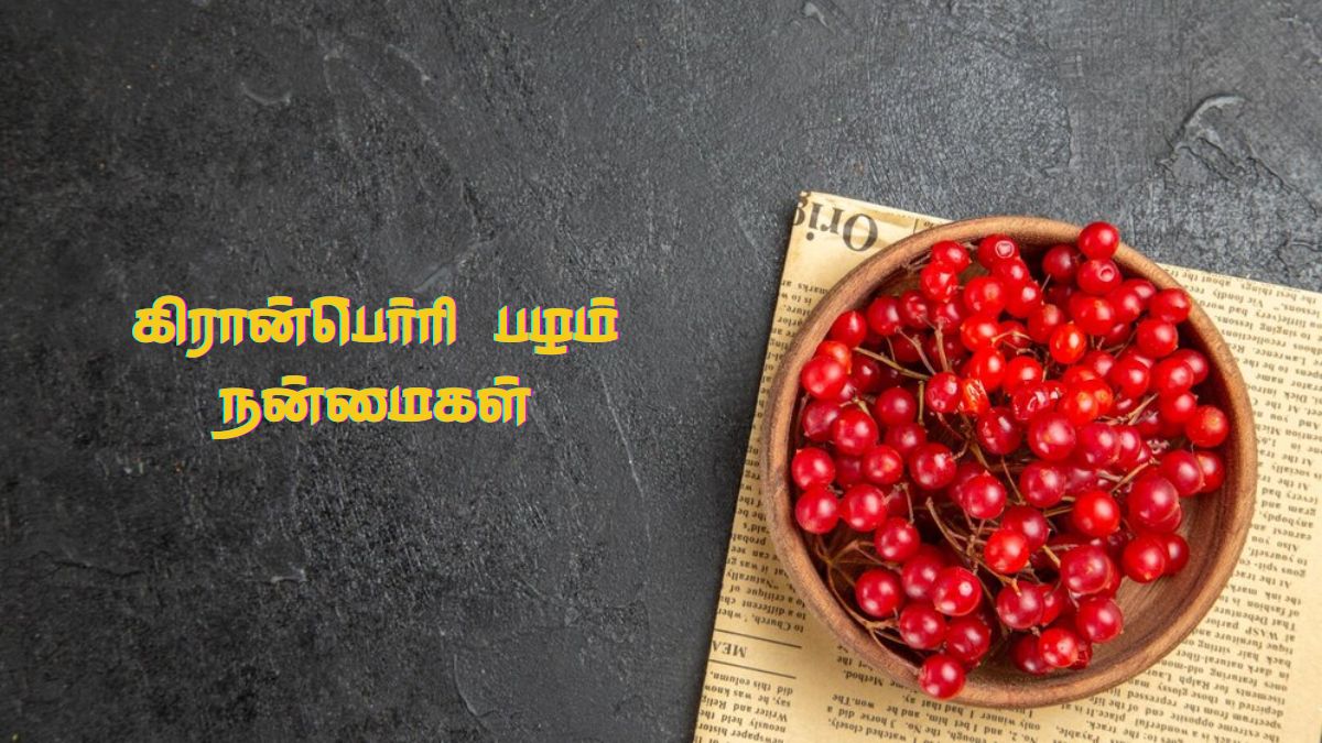 Cranberries Benefits: குருதிநெல்லியை சாப்பிட்டா இந்த பிரச்சனை எல்லாம் வராதாம்!