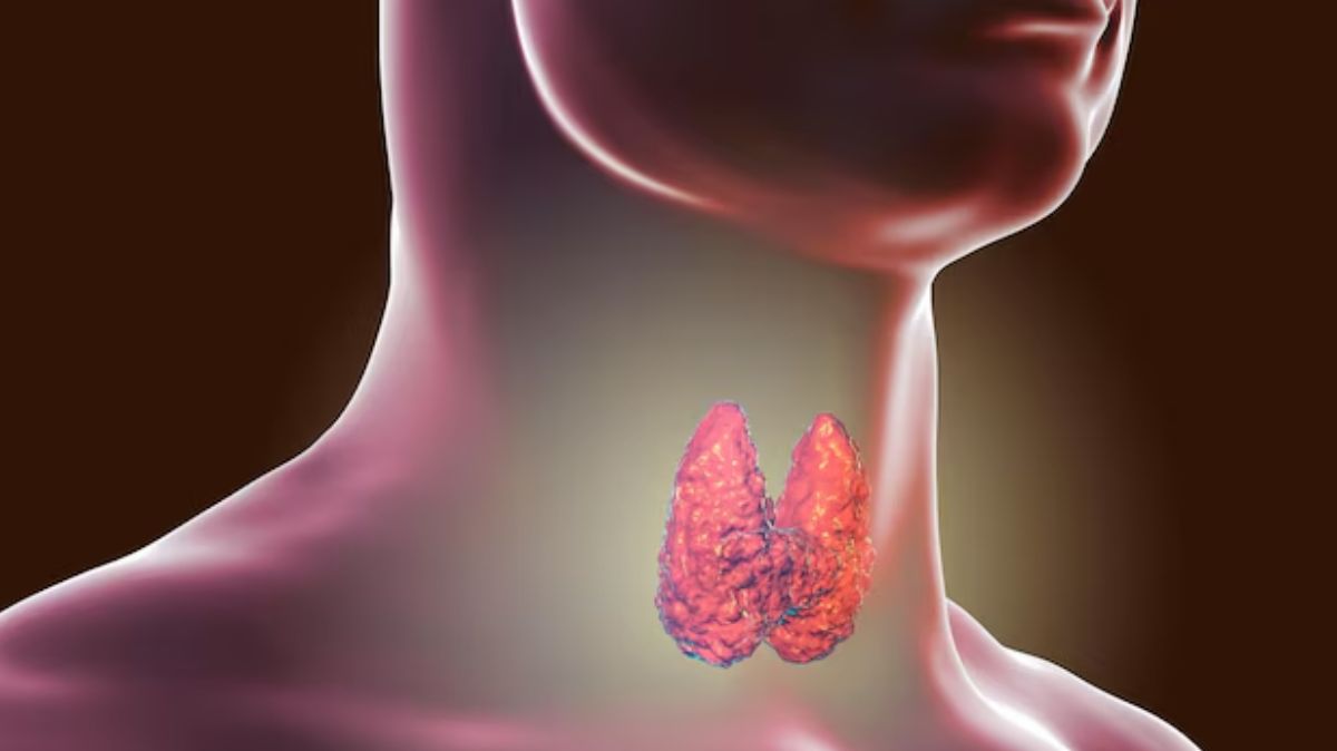 World Thyroid Day: தைராய்டு குறித்த கட்டுக்கதைகளும் உண்மையும் இங்கே…