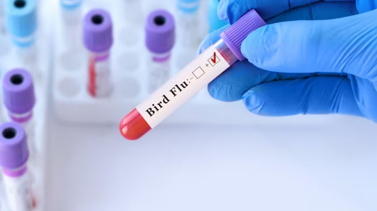 H9N2 Bird Flu: மக்களே உஷார்.! இந்தியாவில் முதல் பறவைக் காய்ச்சல்.! சுகாதார அமைப்பு எச்சரிக்கை…