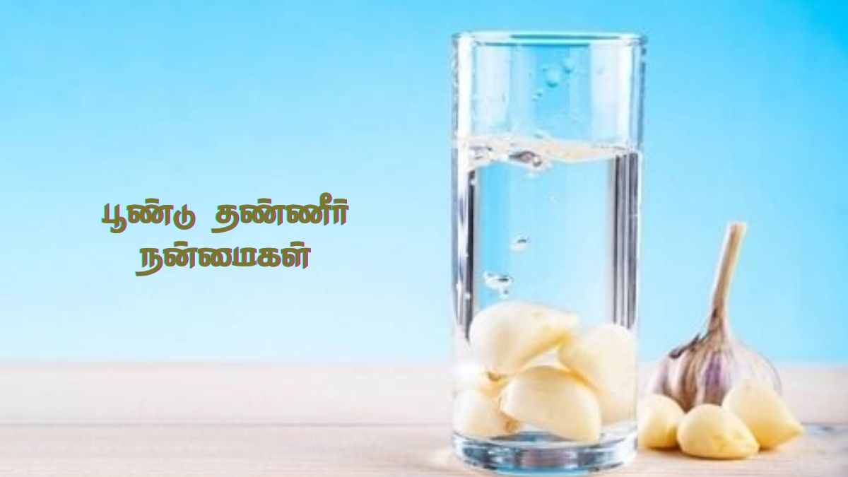 Garlic Water Benefits: வெறும் வயிற்றில் பூண்டு தண்ணீர் குடிப்பதன் நன்மைகள்!