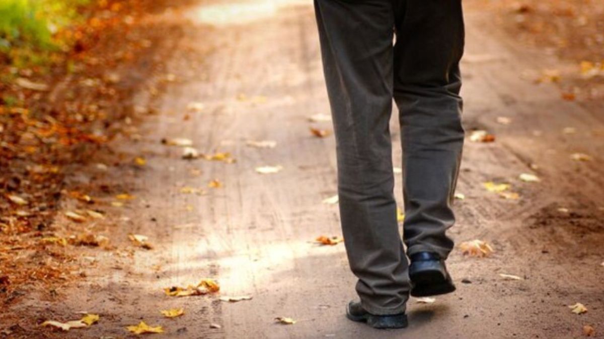 Walking Backwards Benefits: நீங்க பின்னோக்கி நடந்துருக்கீங்களா? இத பார்த்தா கண்டிப்பா நடப்பீங்க